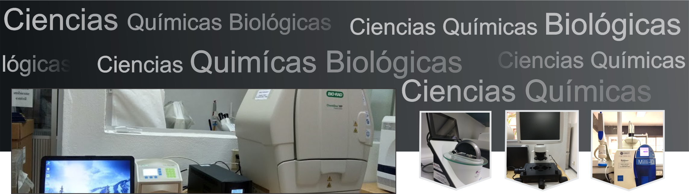 Banner 4 Biomolec